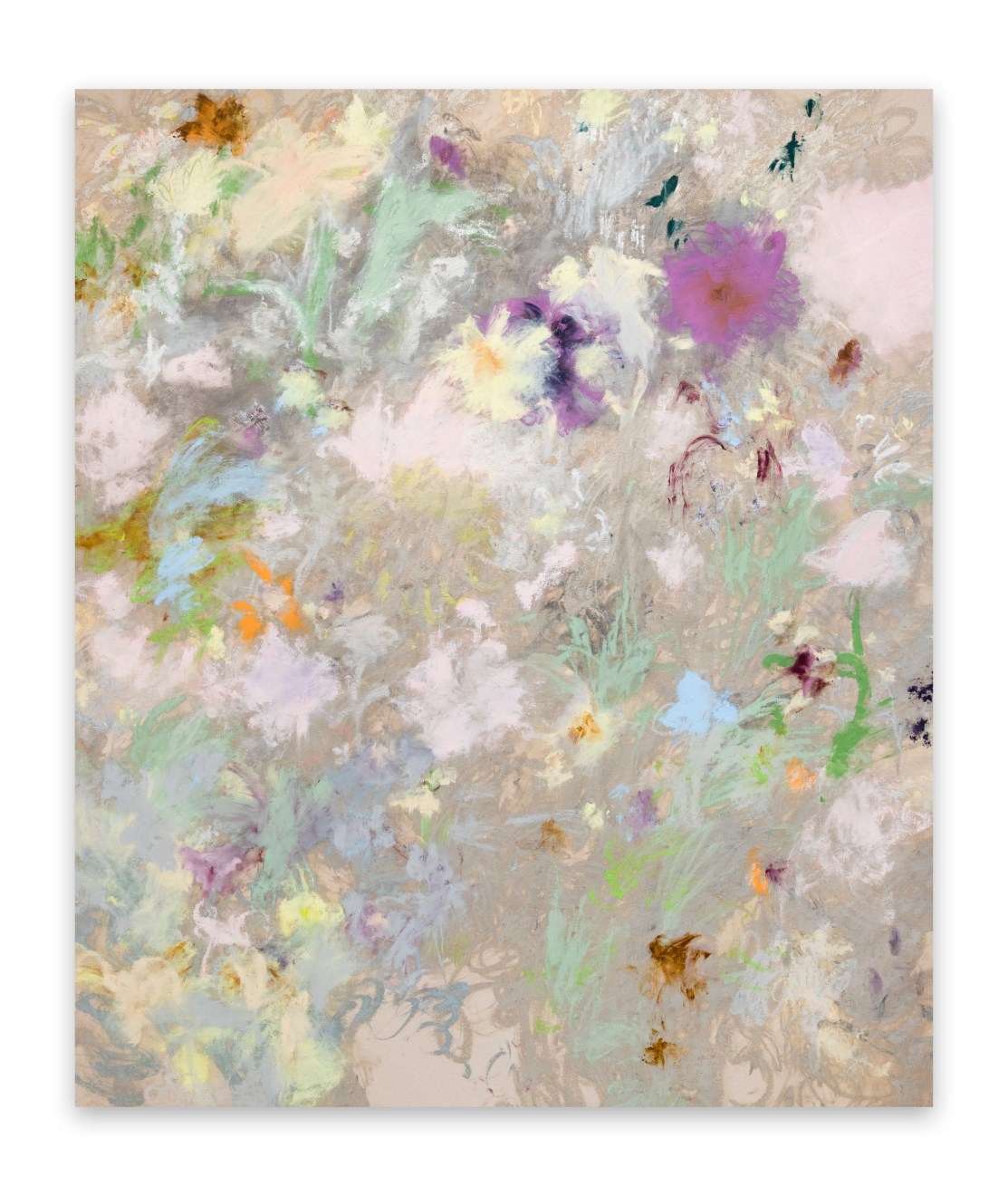 Colleen Herman, Anemone, 2025