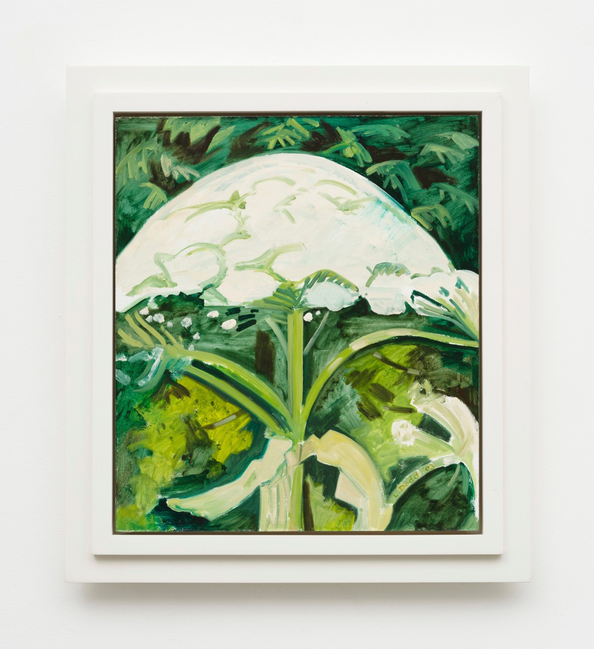 Lois Dodd, Cow Parsnip in Early Stage of Bloom, 2003