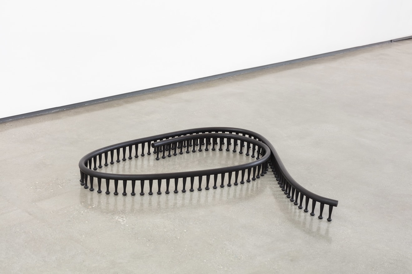Ricky Swallow Floor Sculpture with Pegs #2, 2018