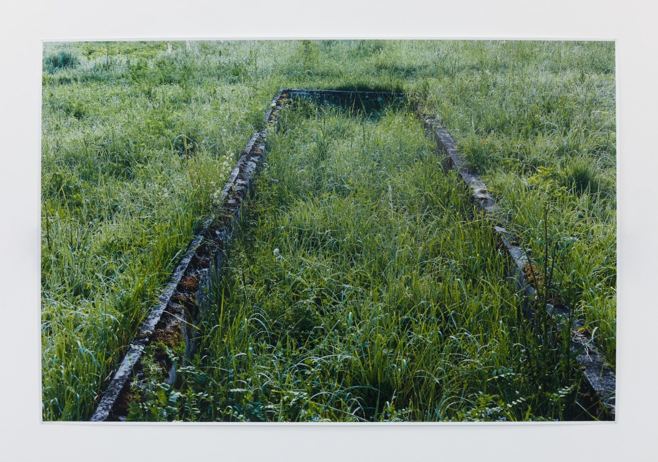 Andrea B&uuml;ttner, Former plant beds from the plantation and &quot;herb gardens,&quot; used by the Nazis for biodynamic agricultural research, at the Dachau Concentration Camp, 2019 - 2020