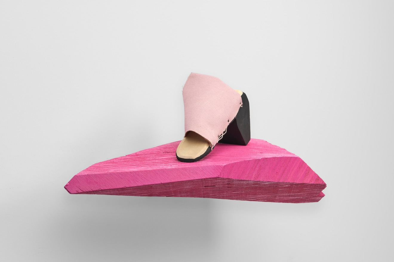 Evan Holloway, Shoe Shelf (Pink), 2024