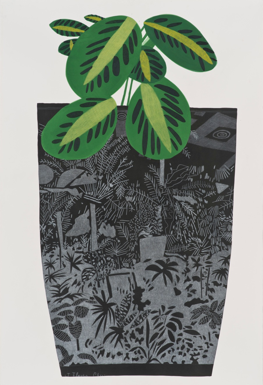 Jonas Wood Black Landscape Pot with Kiwi Plant 1, 2014