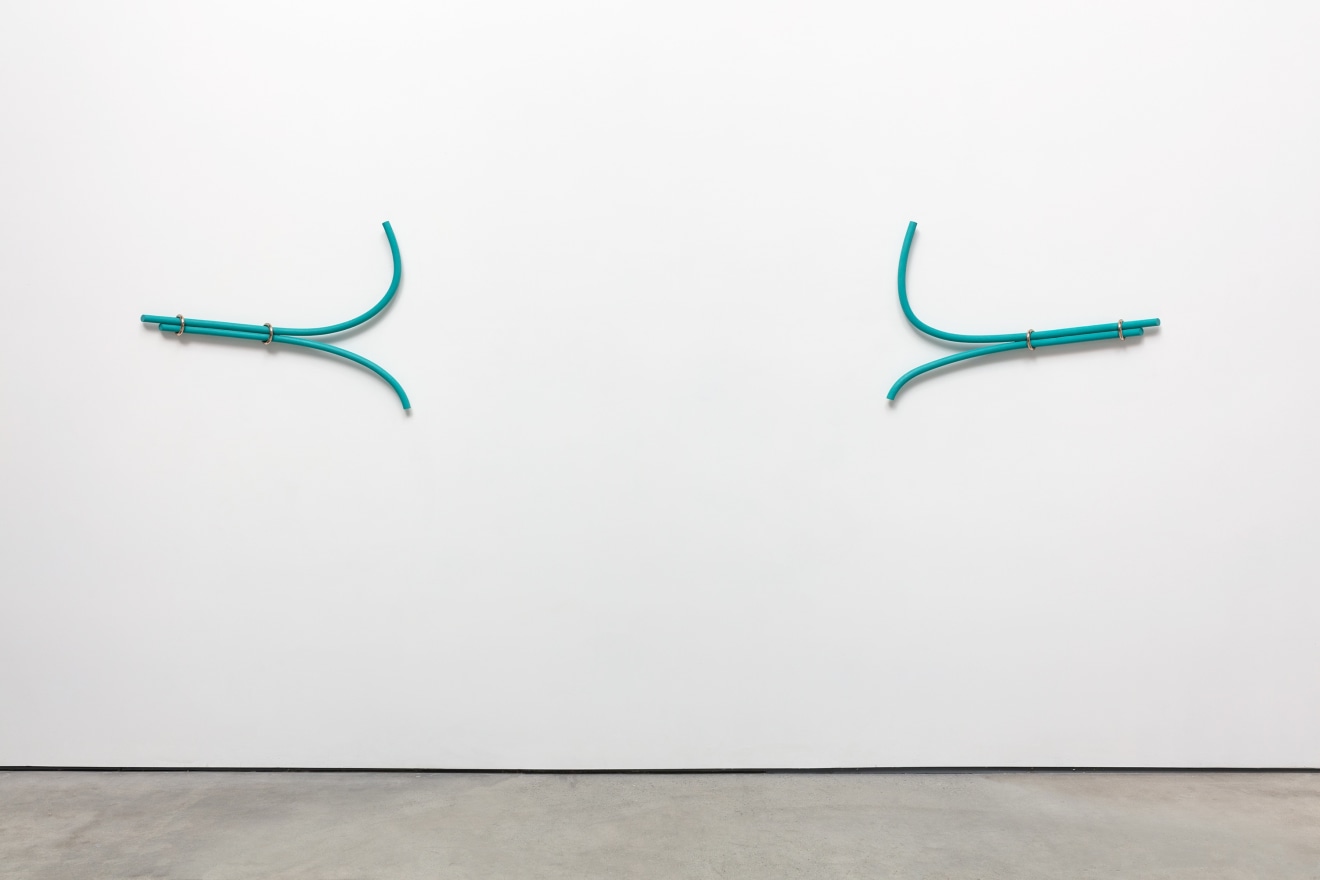 Ricky Swallow Split Bows with Rings (paired), 2018