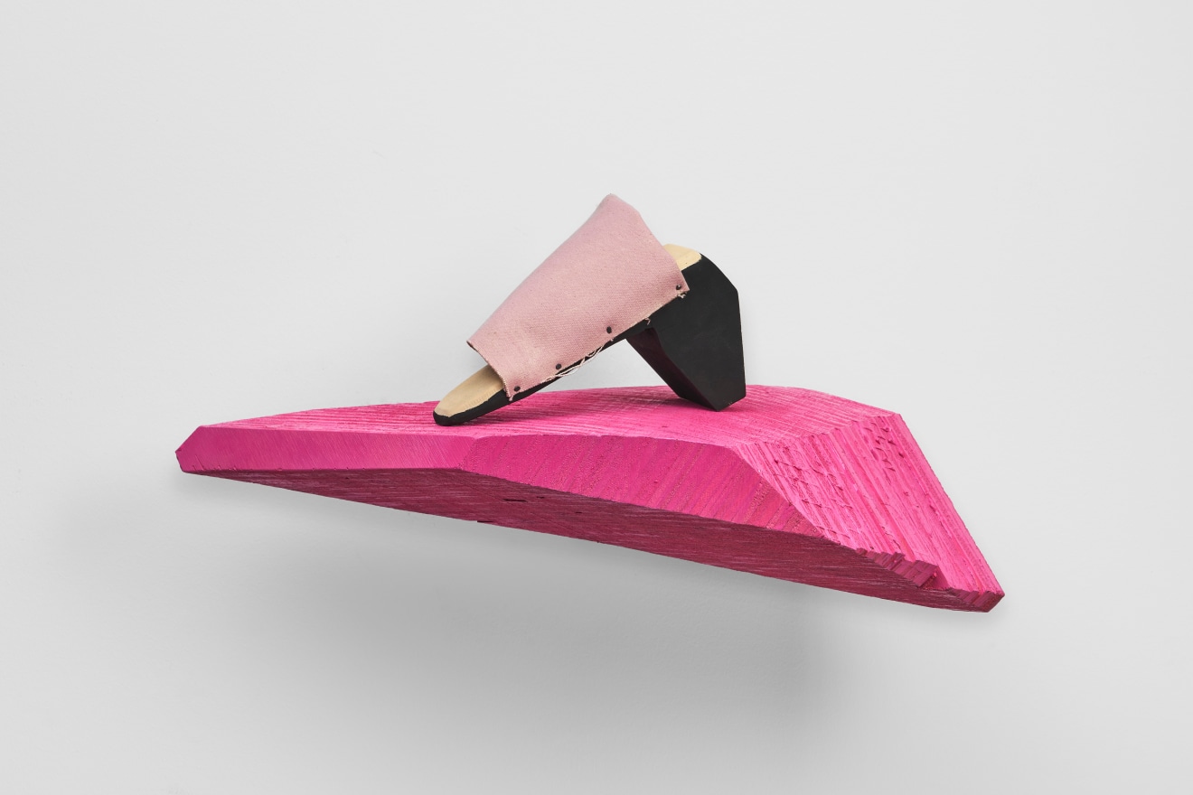 Evan Holloway, Shoe Shelf (Pink), 2024