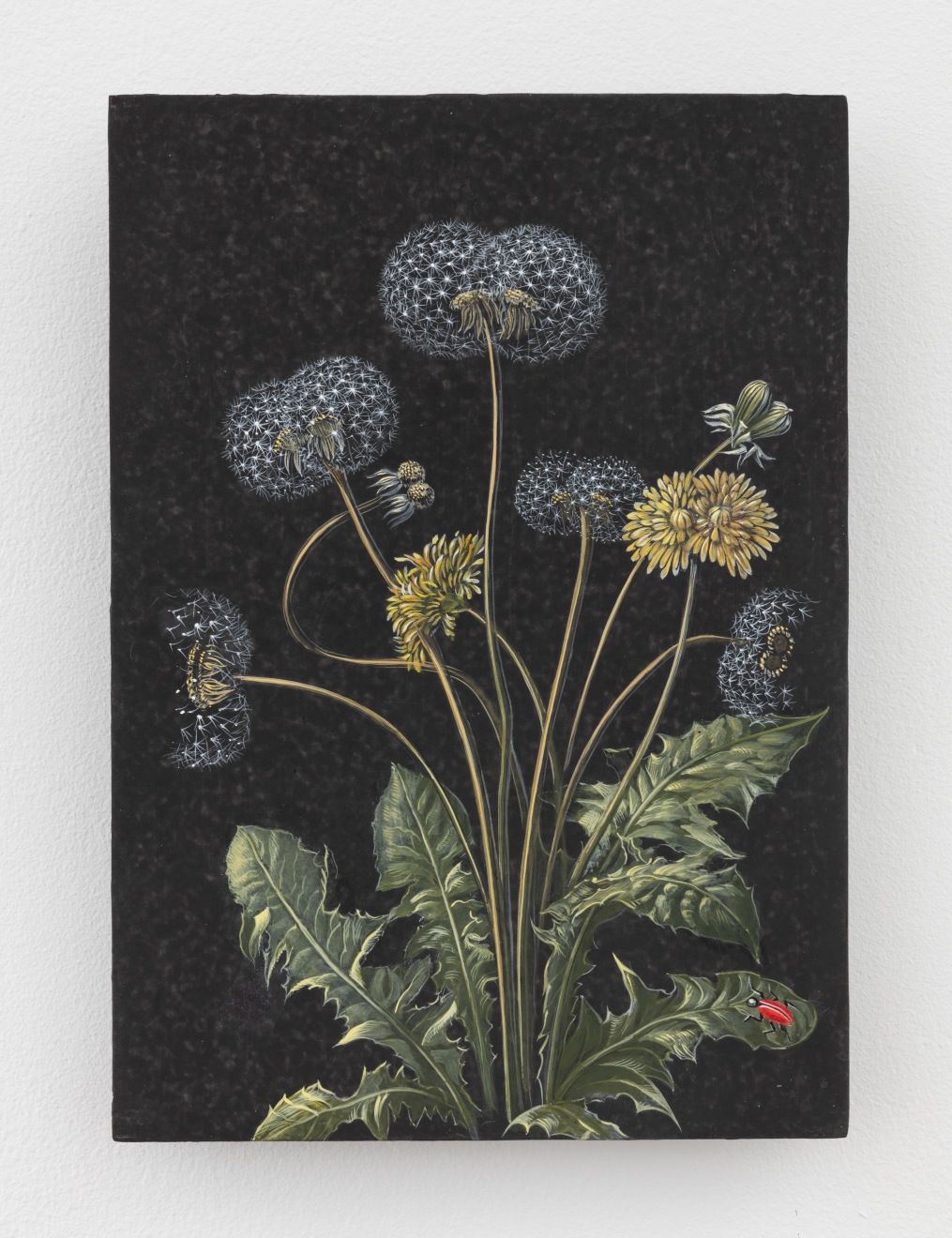 Laurent Grasso, Future Herbarium, 2023