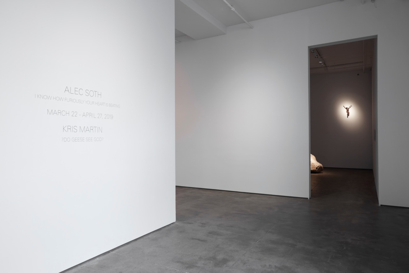 Installation view of Kris Martin: ?DO GEESE SEE GOD? at Sean Kelly, New York