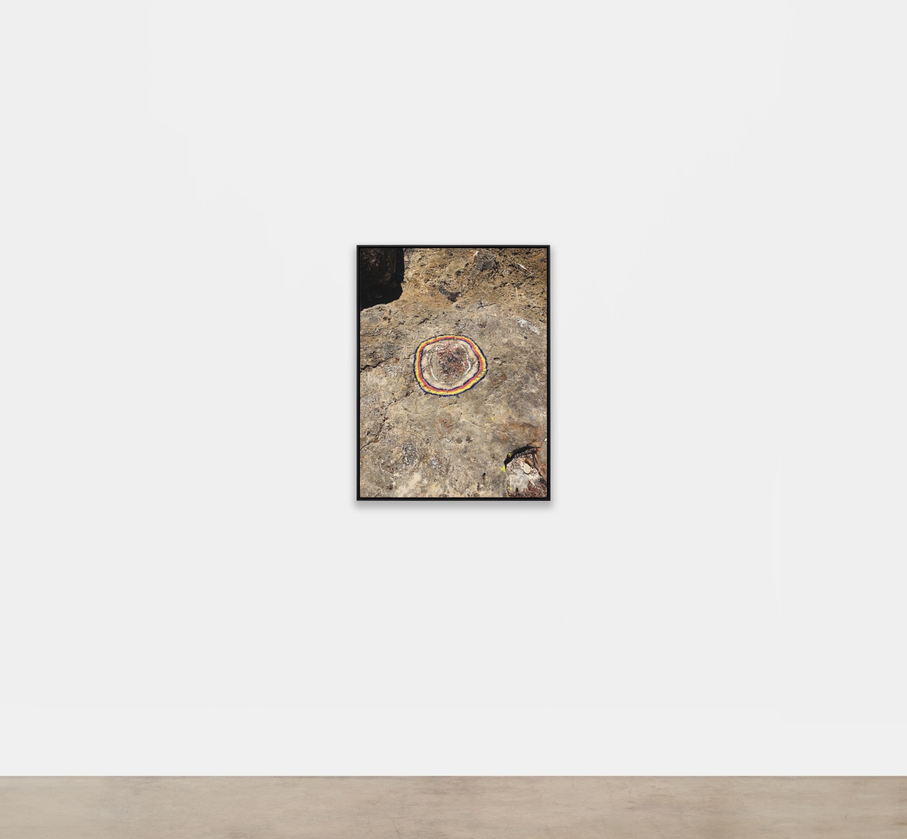 Harold Mendez Consent not to be a single being, 2018