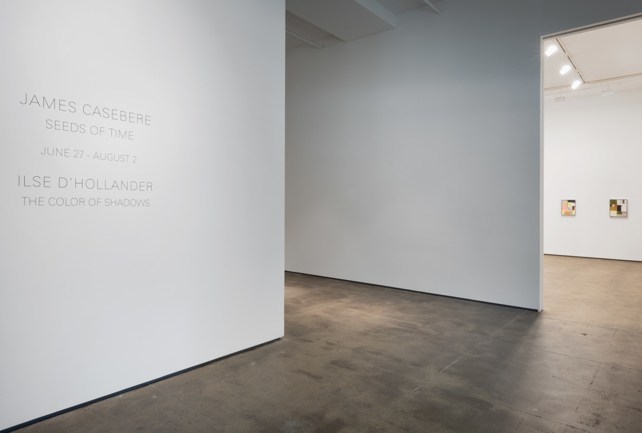 Installation view of Ilse D&rsquo;Hollander: The Color of Shadows at Sean Kelly, New York, June 27 &ndash; August 2, 2024, Photography: Adam Reich, Courtesy: Sean Kelly, New York/Los Angeles