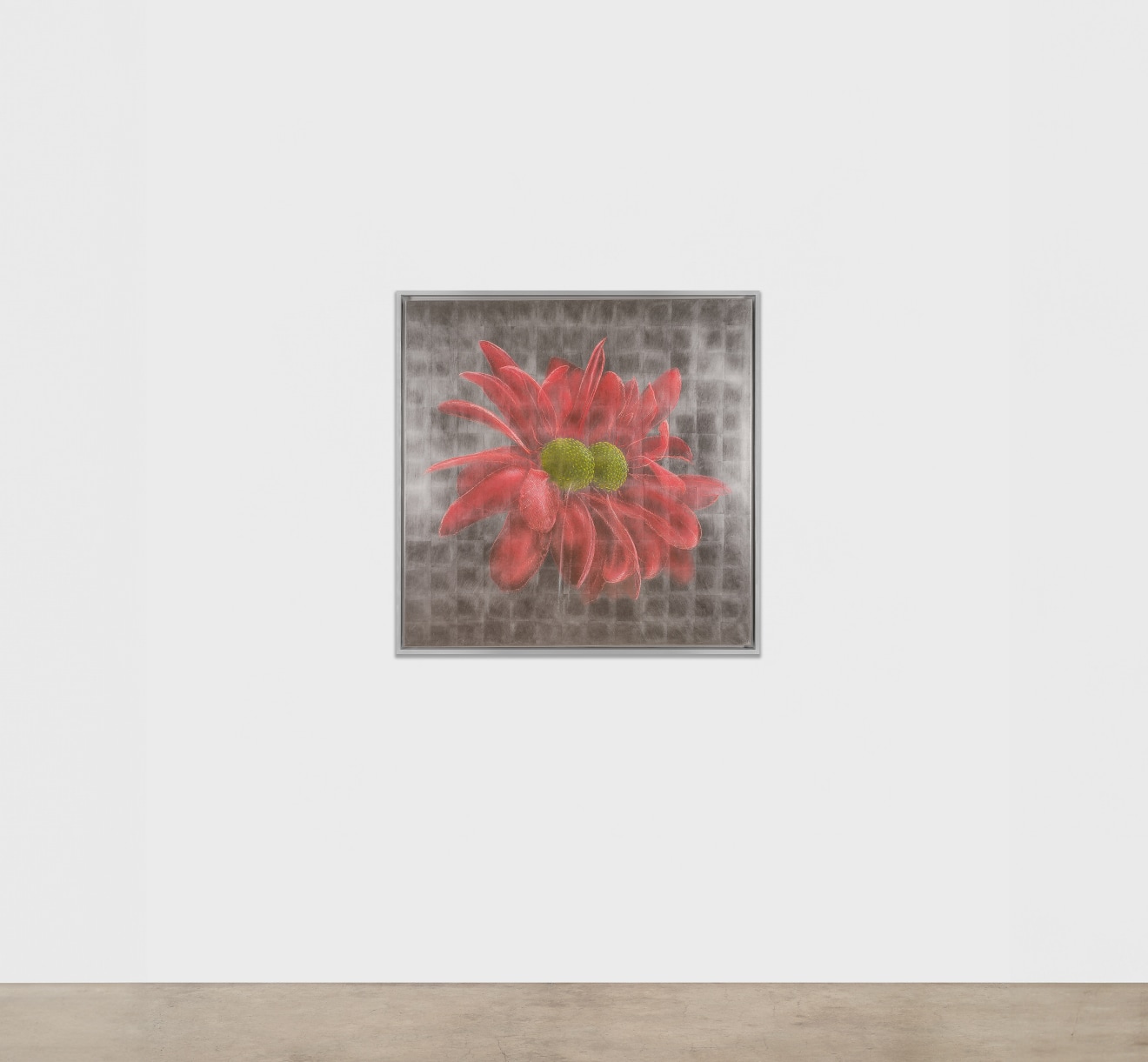 Laurent Grasso, Future Herbarium