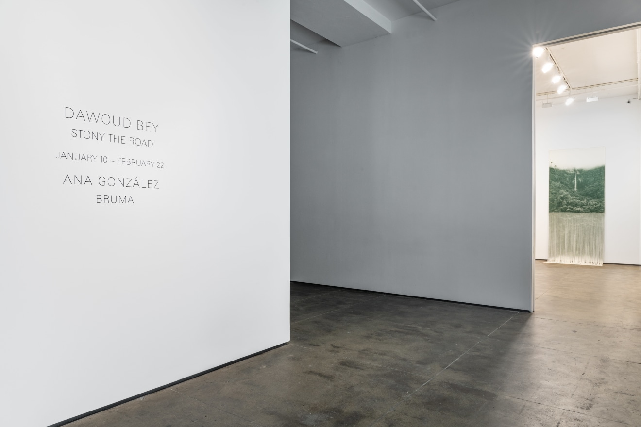 Installation view of&nbsp;Ana Gonz&aacute;lez: Bruma at Sean Kelly, New York, January 10 &ndash; February 22, 2025, Photography: Adam Reich, Courtesy: Sean Kelly, New York/Los Angeles