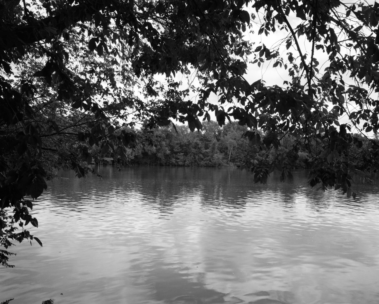 Untitled (James River), 2022, gelatin silver print mounted to Dibond