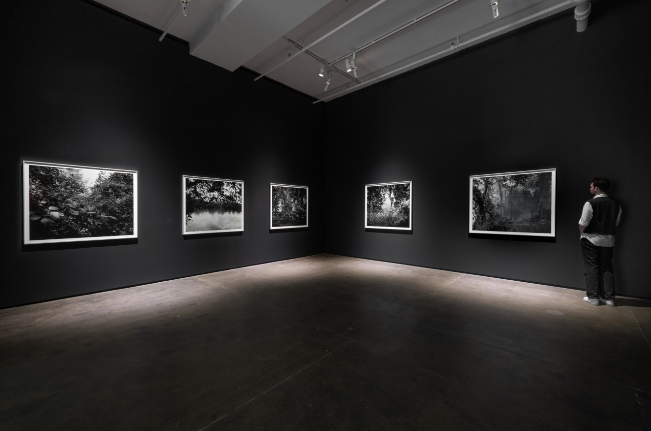 Installation view of&nbsp;Dawoud Bey: Stony the Road at Sean Kelly, New York, January 10 &ndash; February 22, 2025, Photography: Adam Reich, Courtesy: Sean Kelly, New York/Los Angeles