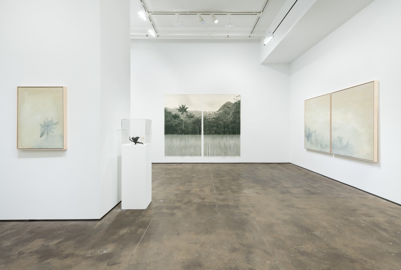 Installation view of&nbsp;Ana Gonz&aacute;lez: Bruma at Sean Kelly, New York, January 10 &ndash; February 22, 2025, Photography: Adam Reich, Courtesy: Sean Kelly, New York/Los Angeles