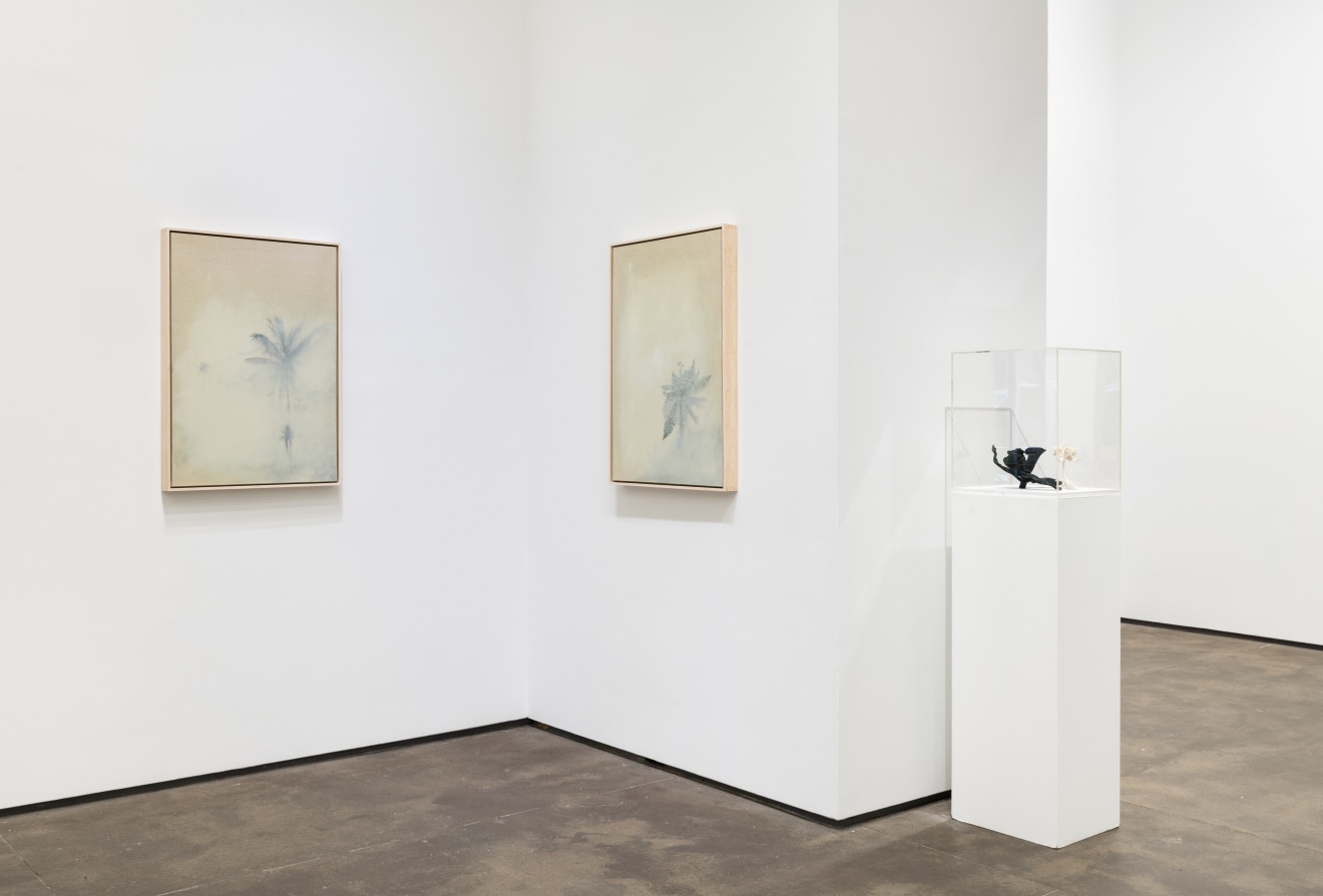 Installation view of&nbsp;Ana Gonz&aacute;lez: Bruma at Sean Kelly, New York, January 10 &ndash; February 22, 2025, Photography: Adam Reich, Courtesy: Sean Kelly, New York/Los Angeles