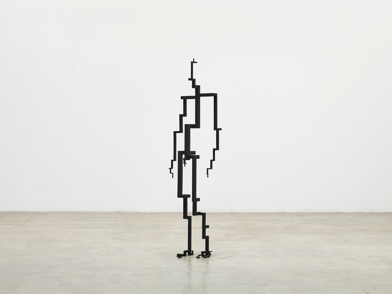 Antony Gormley in A National Treasure: Fred Meijer, His Collection and Legacy