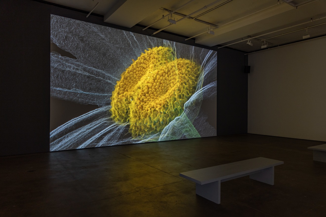 Installation view of&nbsp;Laurent Grasso: Artificialis at Sean Kelly, New York, October 25 &ndash; December 21, 2024, Photography: Adam Reich, Courtesy: Sean Kelly, New York/Los Angeles