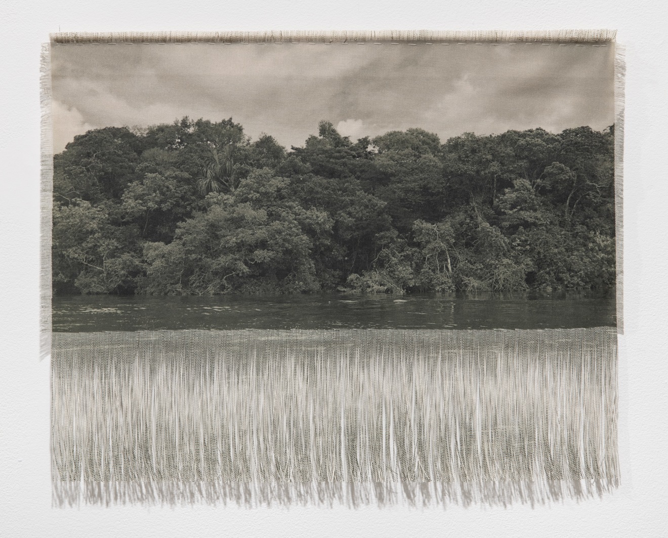 Ana Gonz&aacute;lez, R&Iacute;O VAUP&Eacute;S (RIVER IN THE AMAZON FOREST), 2024