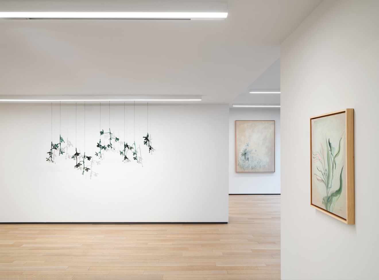 Installation view of&nbsp;VERDES&nbsp;at Sean Kelly, Los Angeles, Janauary 20 - March 9, 2024, Photography: Brica Wilcox, Courtesy: Sean Kelly