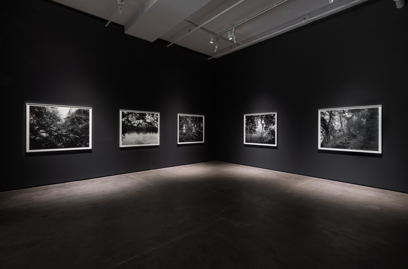 Installation view of&nbsp;Dawoud Bey: Stony the Road at Sean Kelly, New York, January 10 &ndash; February 22, 2025, Photography: Adam Reich, Courtesy: Sean Kelly, New York/Los Angeles