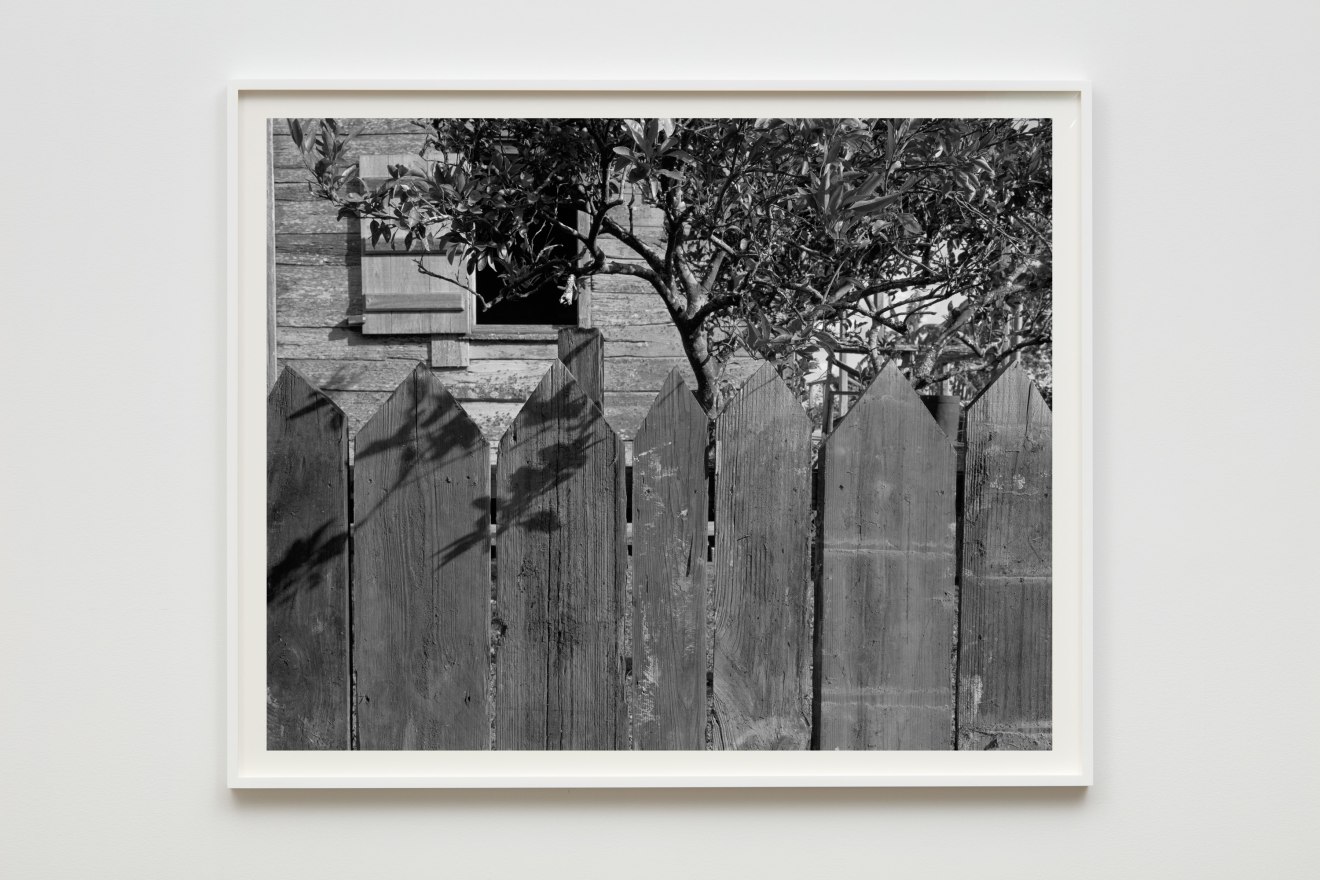 Dawoud Bey Picket Fence, Tree, and Cabin, 2019