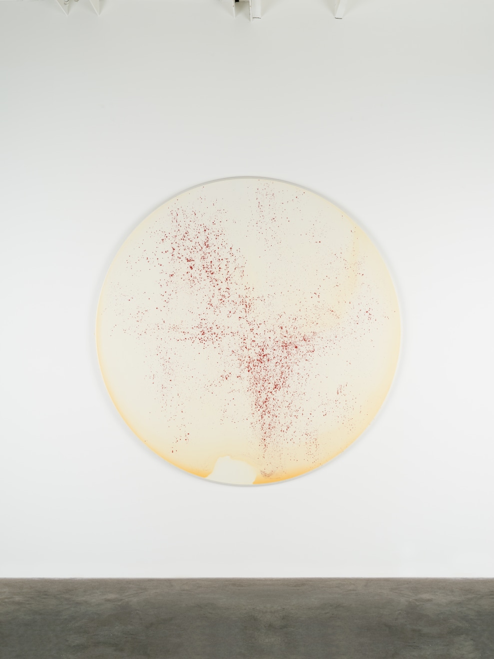 Callum Innes Untitled, 2022 signed by the artist, verso oil and shellac on Birch Ply 70 7/8 inches (180 cm) diameter (CI-TP.31.22)