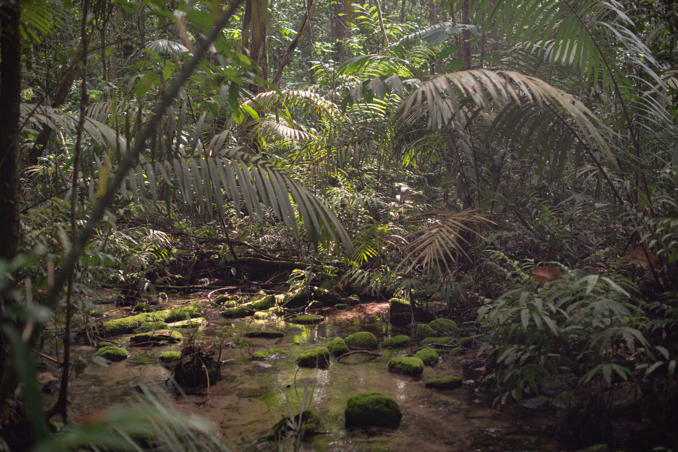 Julian Charrière in Festival of Future Nows 2025