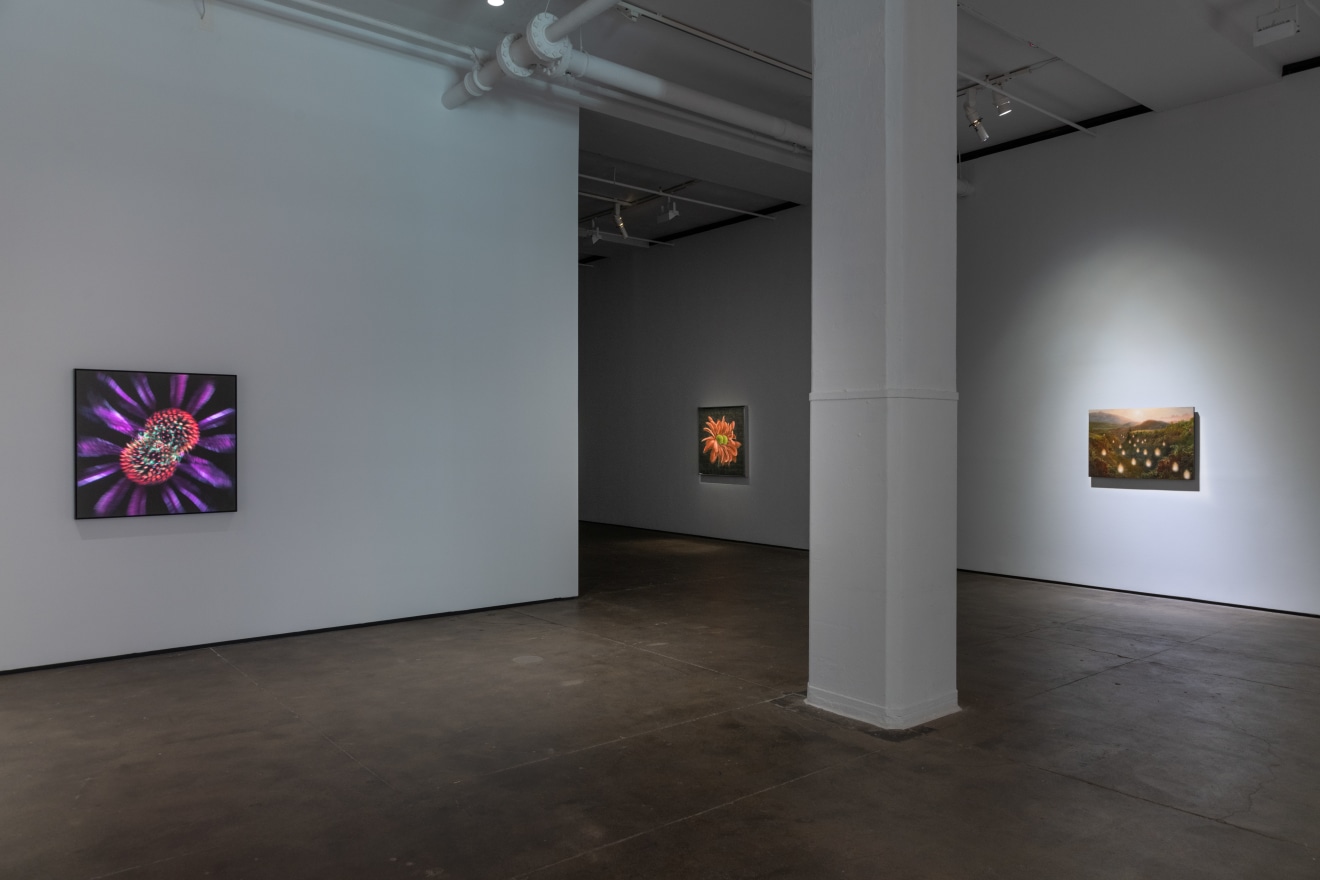 Installation view of&nbsp;Laurent Grasso: Artificialis at Sean Kelly, New York, October 25 &ndash; December 21, 2024, Photography: Adam Reich, Courtesy: Sean Kelly, New York/Los Angeles