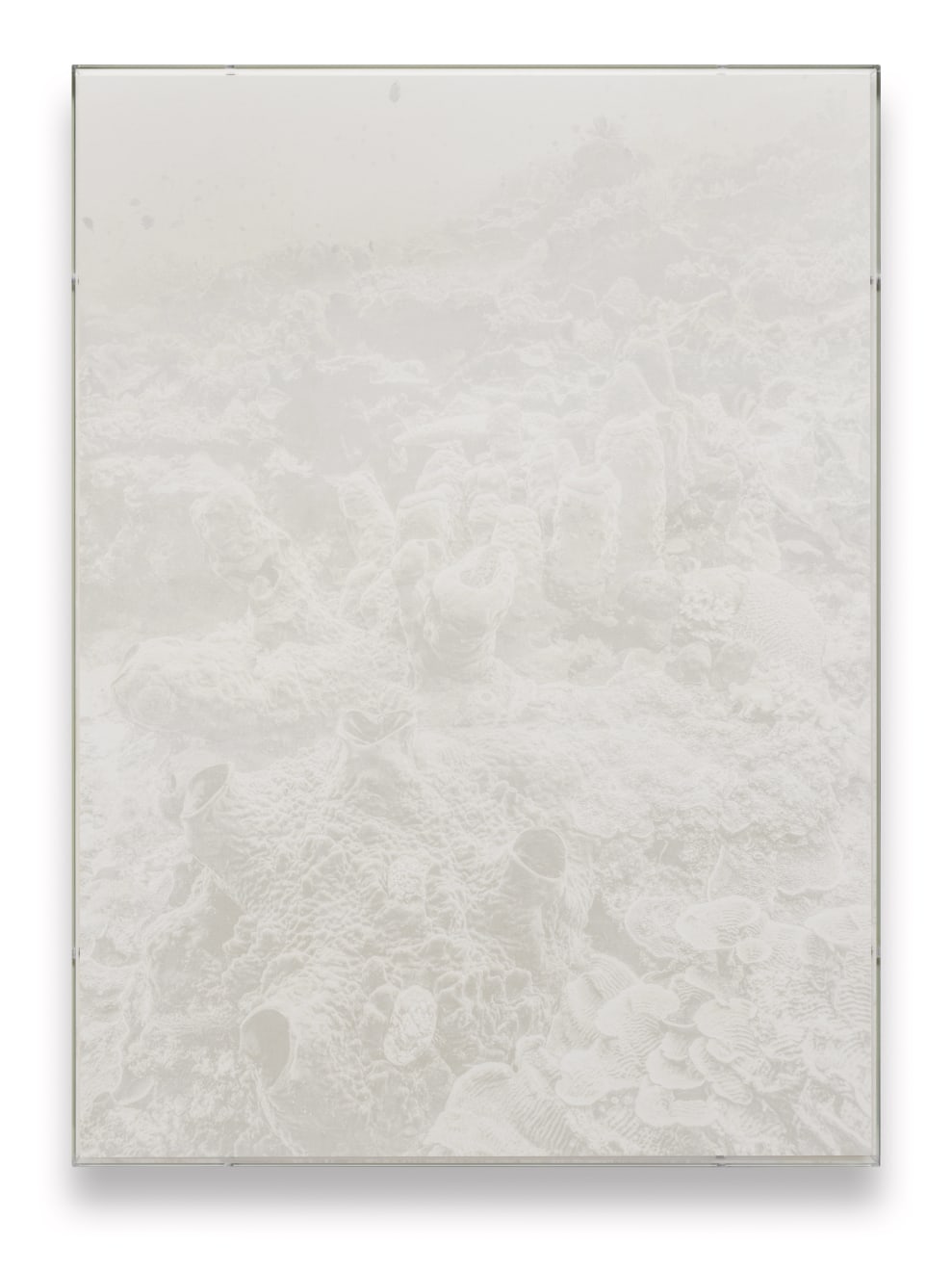 Julian Charri&egrave;re, Veils | Theonella Swinhoe, 2025