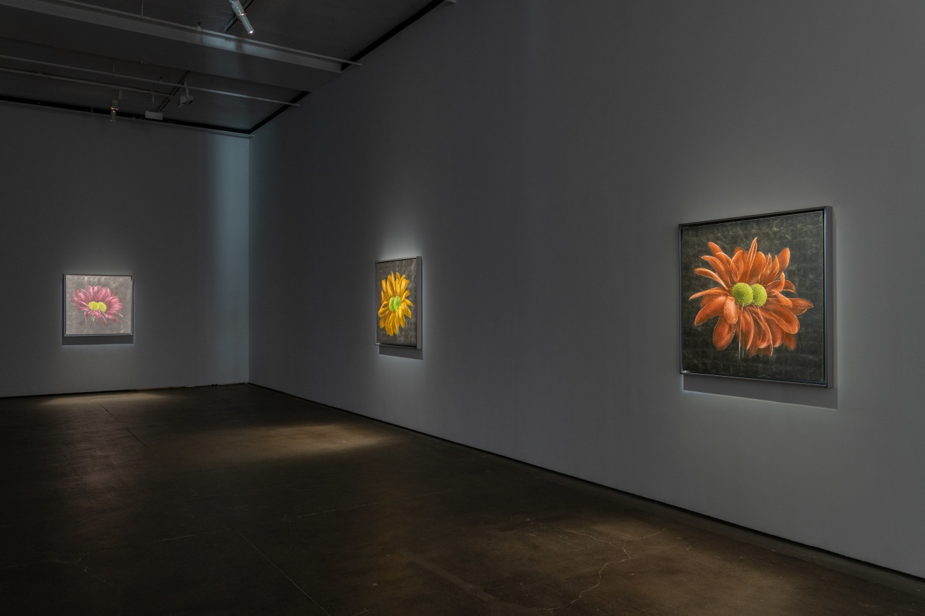 Installation view of&nbsp;Laurent Grasso: Artificialis at Sean Kelly, New York, October 25 &ndash; December 21, 2024, Photography: Adam Reich, Courtesy: Sean Kelly, New York/Los Angeles