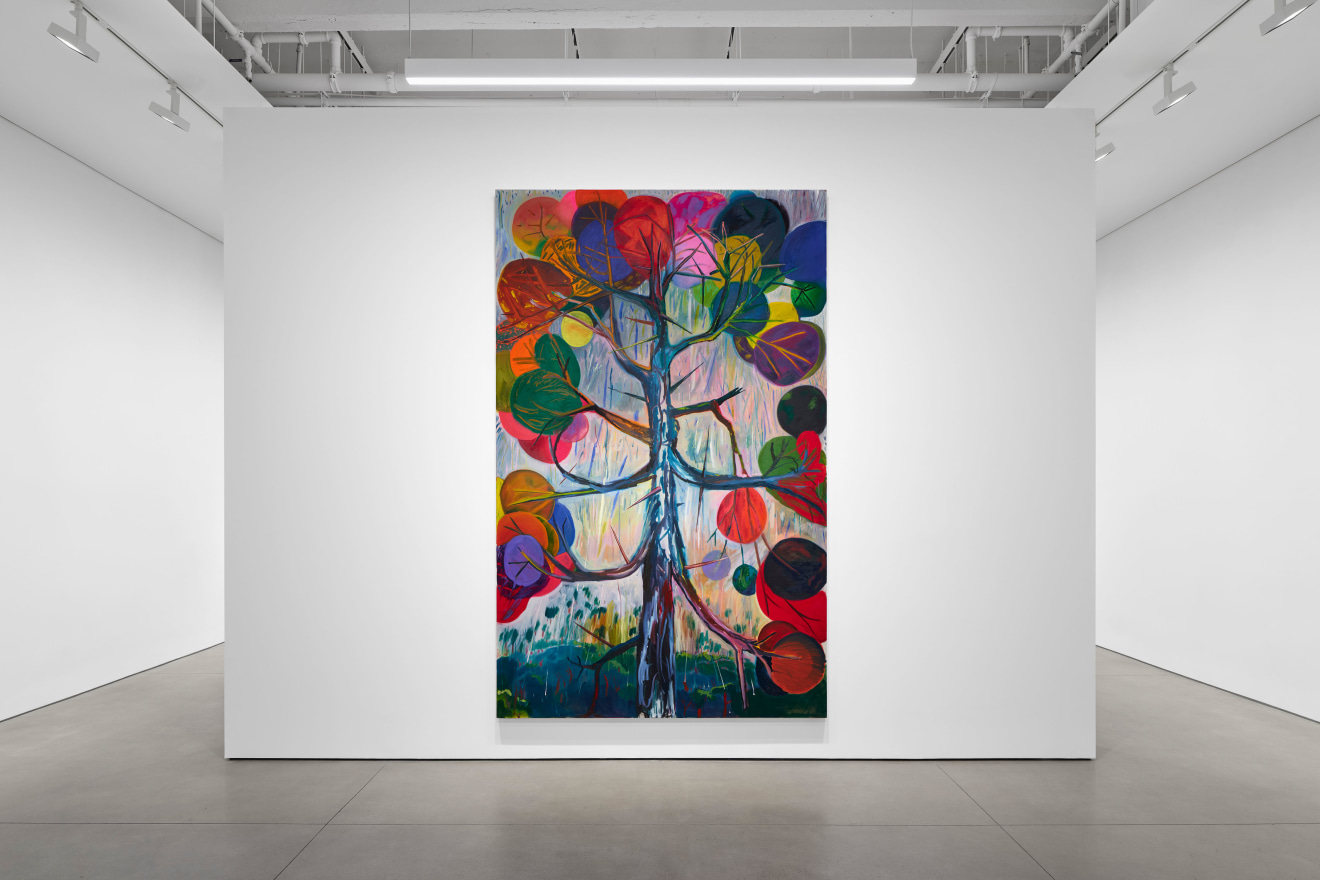 Shara Hughes