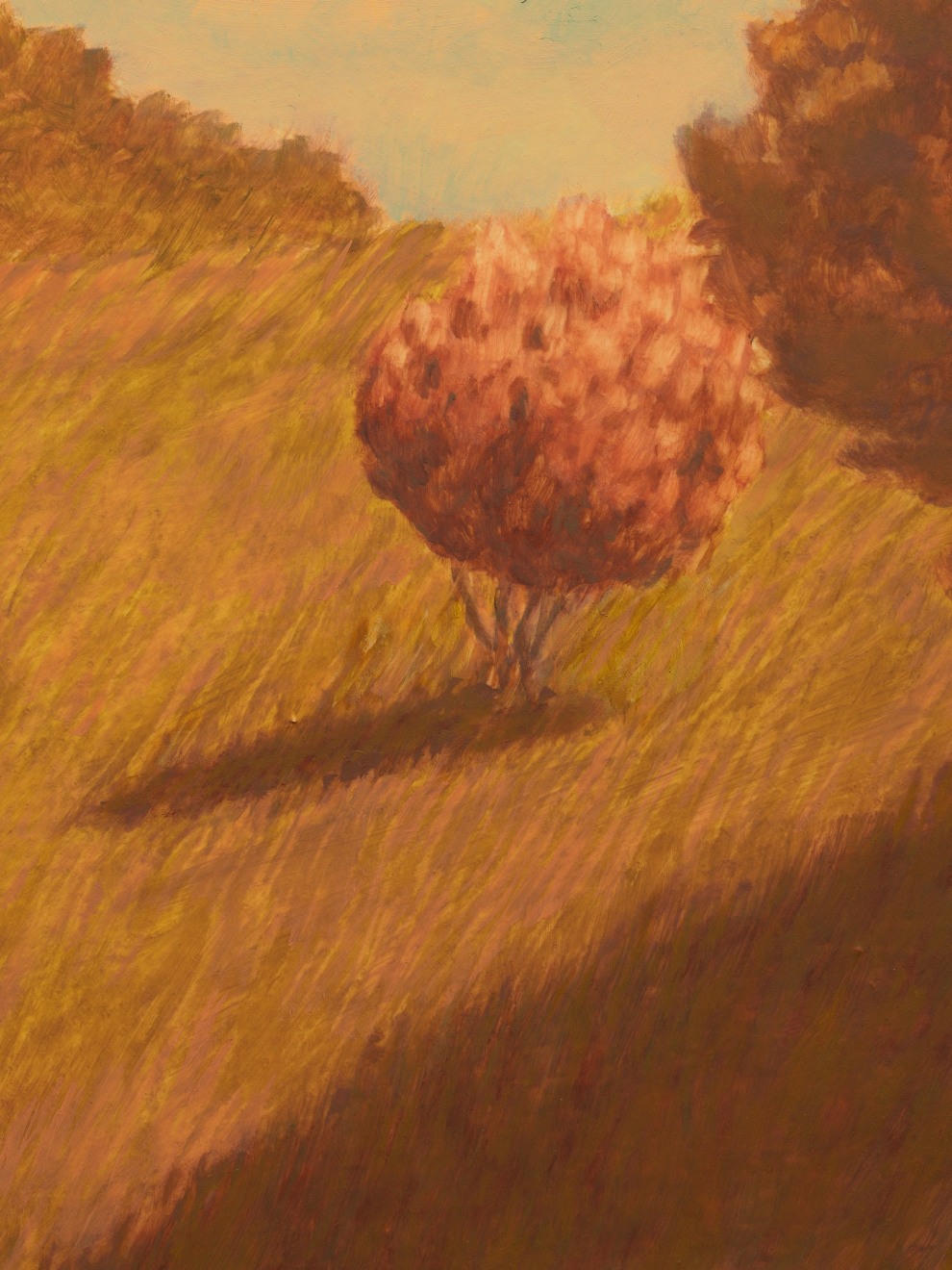 Jared Buckhiester, A short youth was mine., 2025