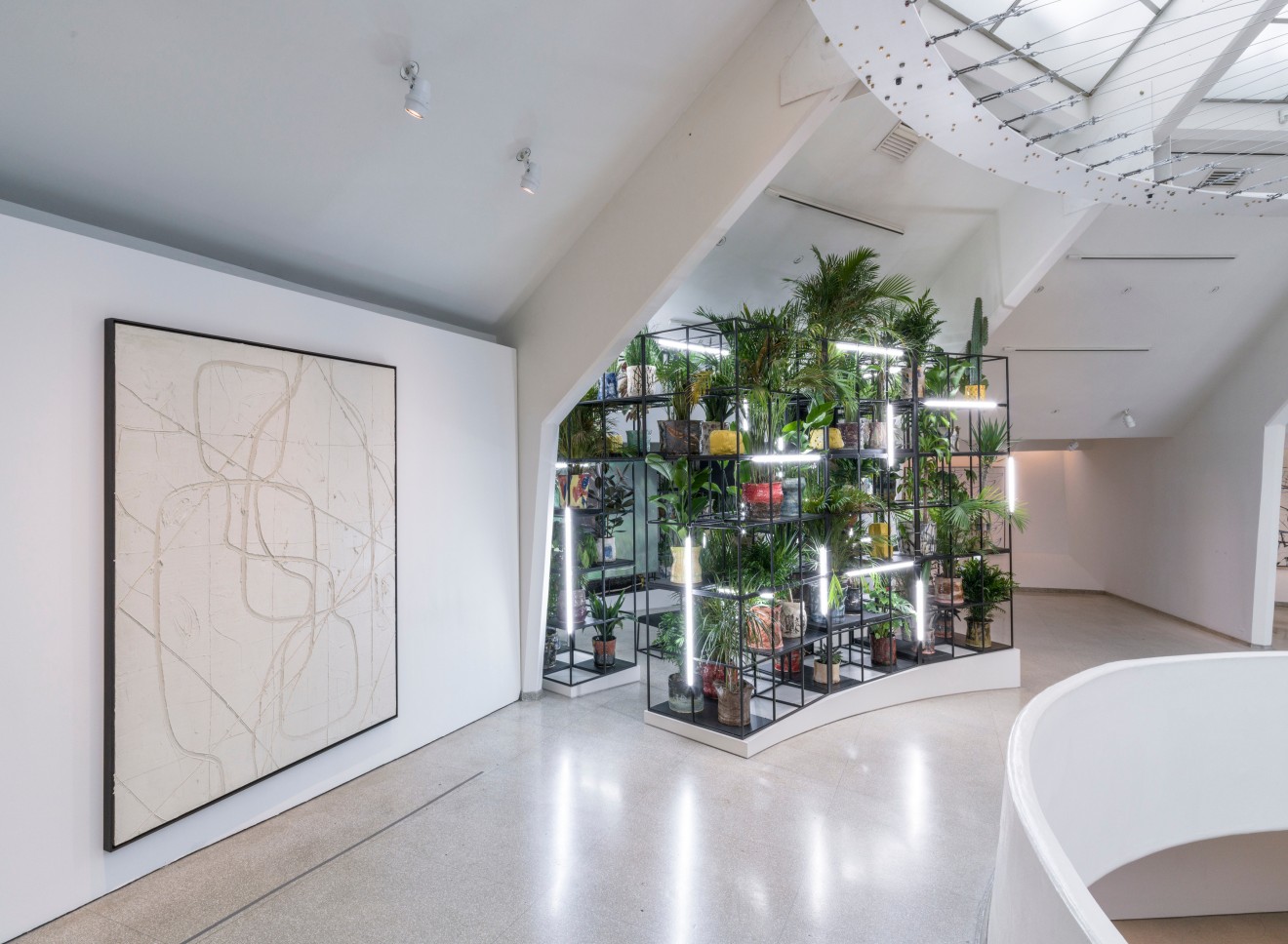 Rashid Johnson