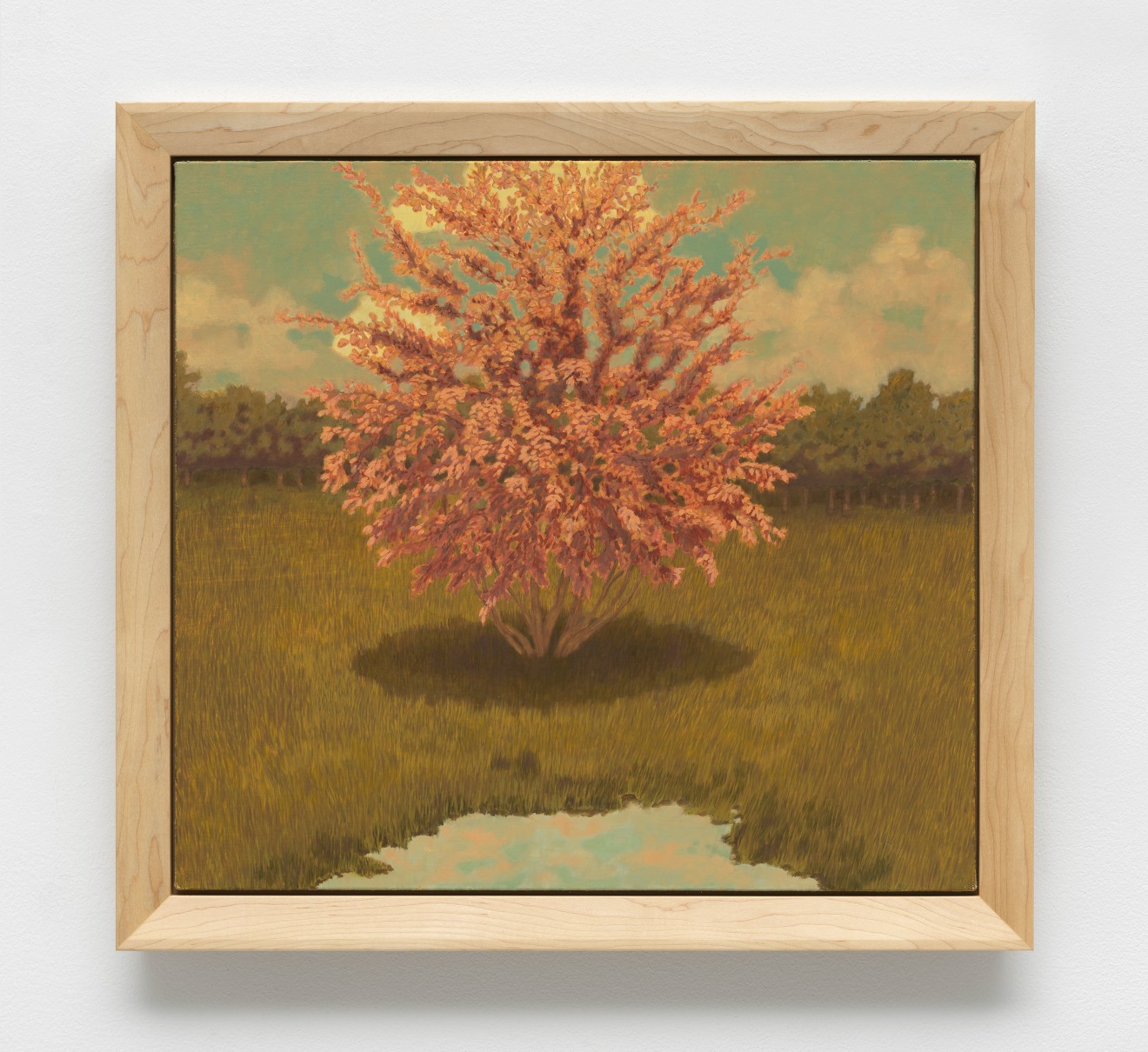 Jared Buckhiester, Thus it happened., 2025