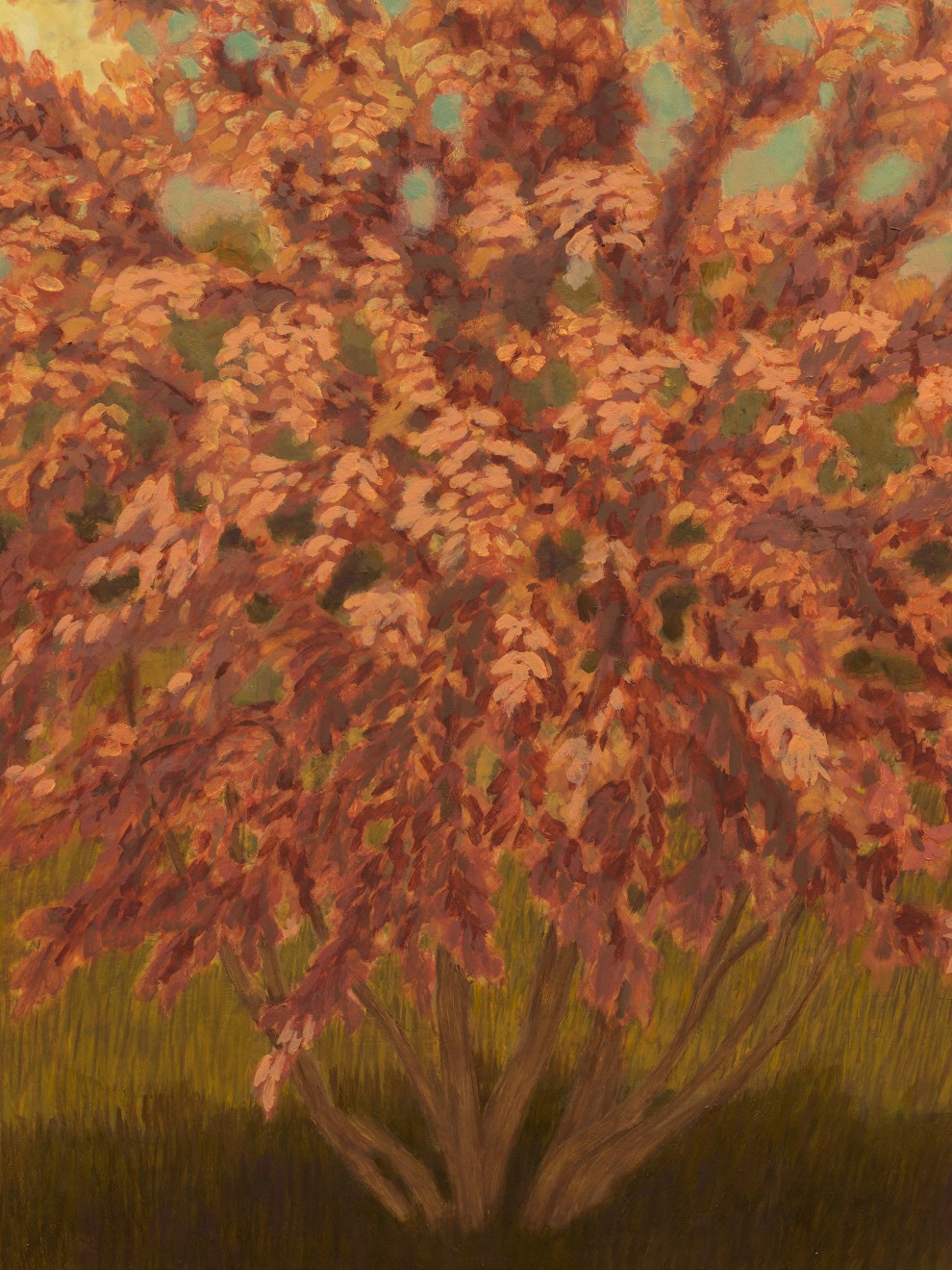 Jared Buckhiester, Thus it happened., 2025