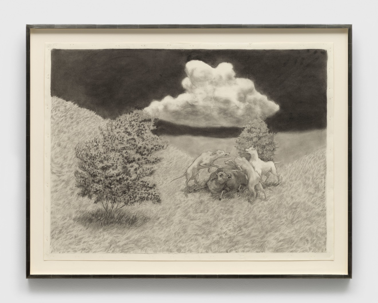 Jared Buckhiester, Untitled, 2025