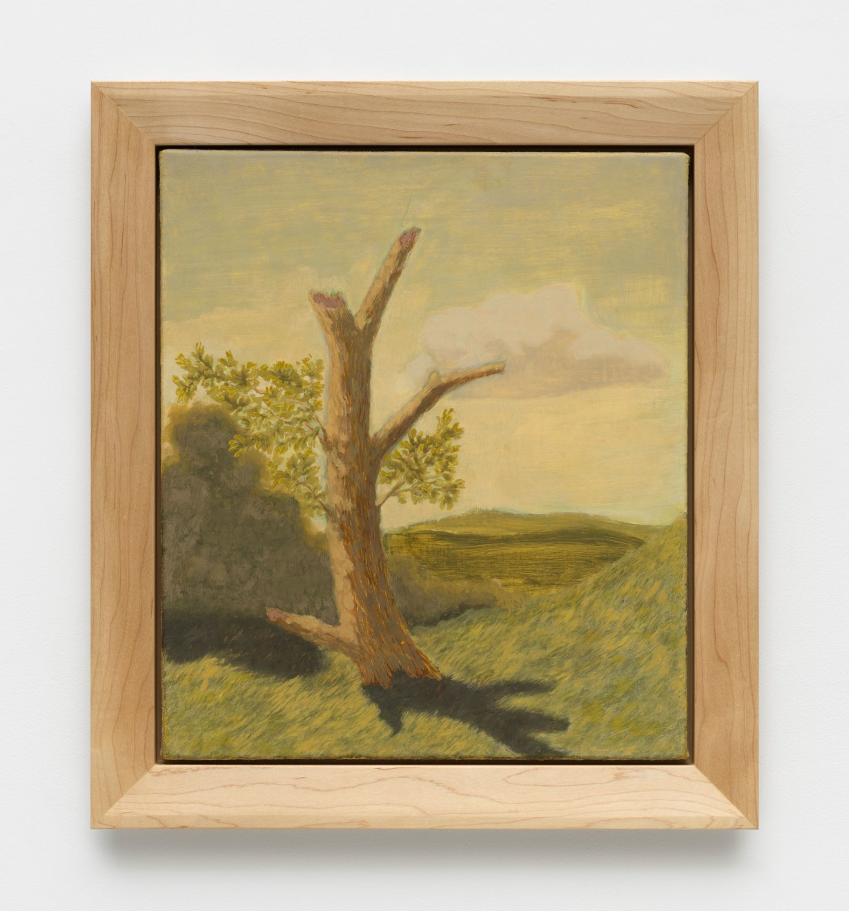 Jared Buckhiester, Continent Of Misbelief, 2025