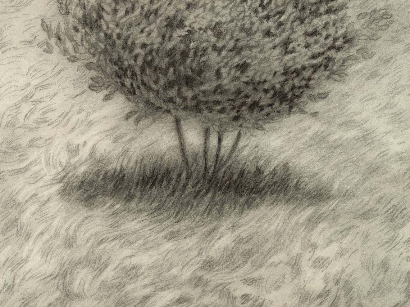 Jared Buckhiester, It is not a pretty story., 2025