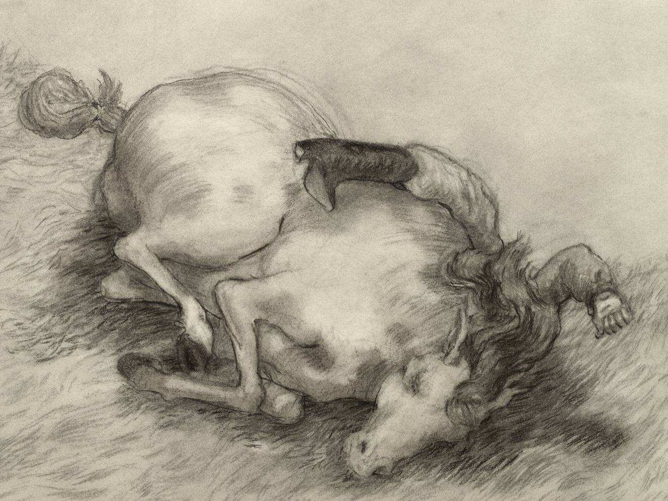 Jared Buckhiester, It is not a pretty story., 2025