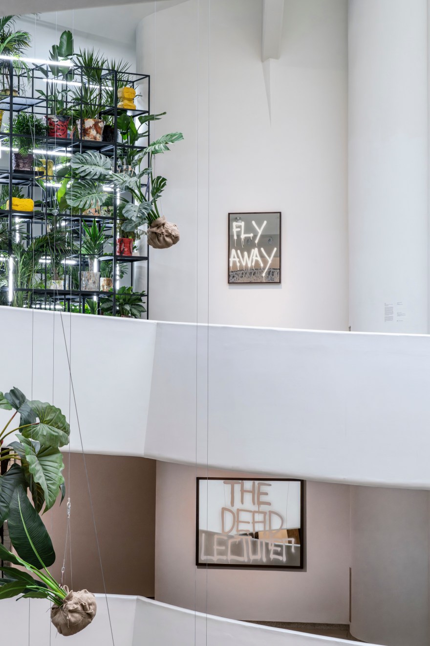 Rashid Johnson