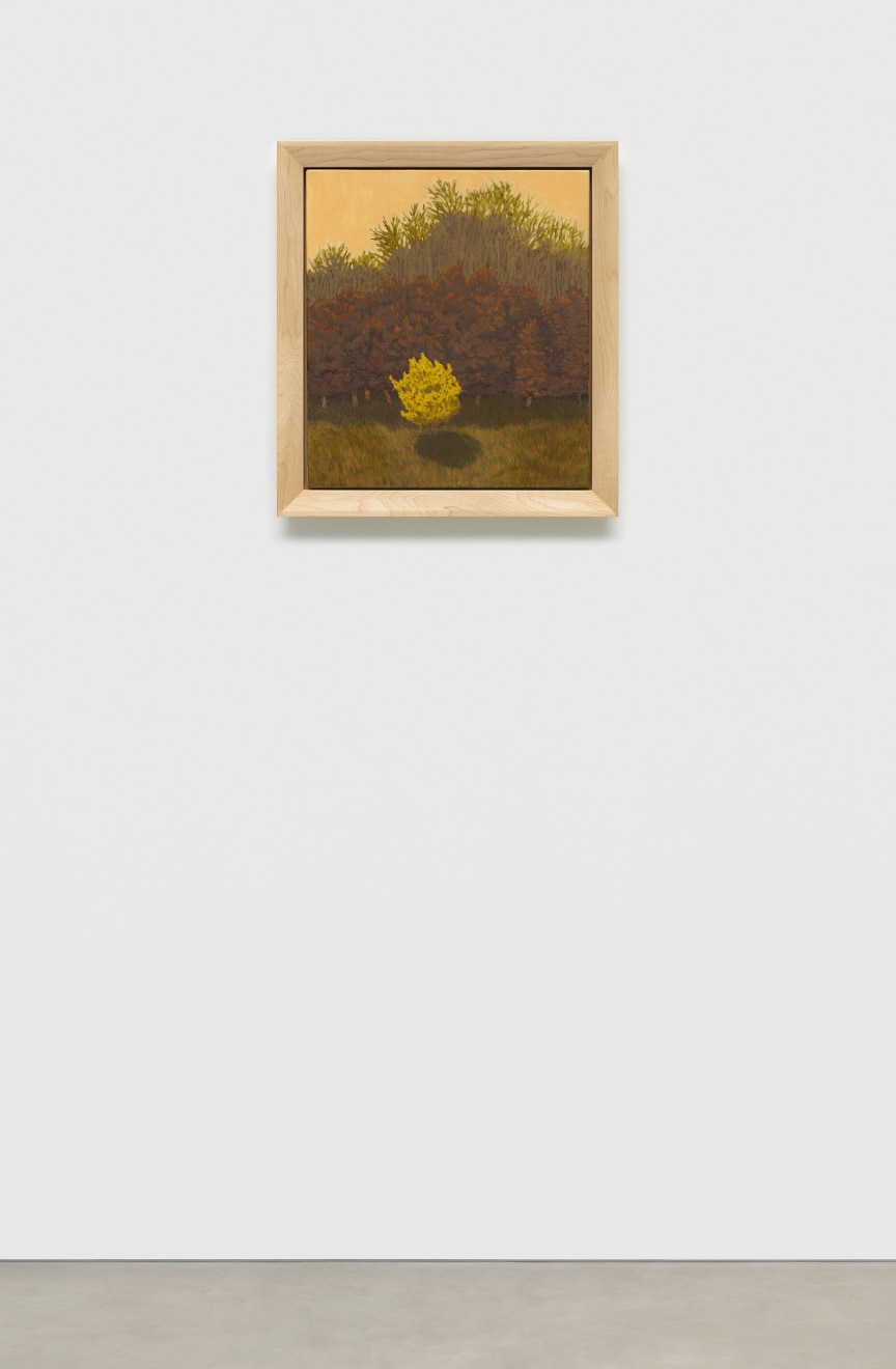 Jared Buckhiester, Officially, it was night., 2025