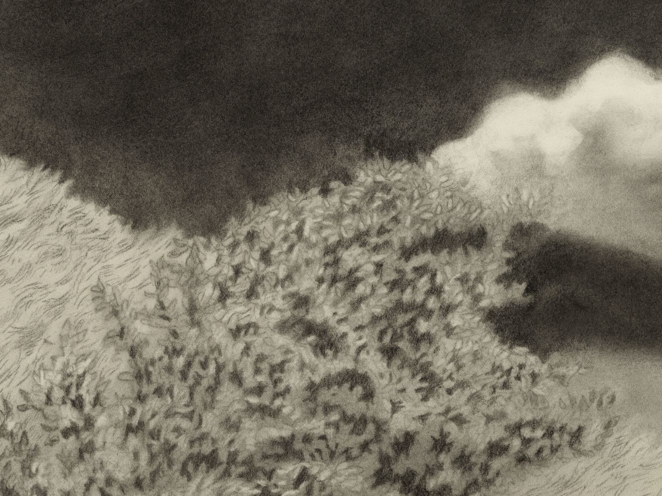 Jared Buckhiester, Untitled, 2025