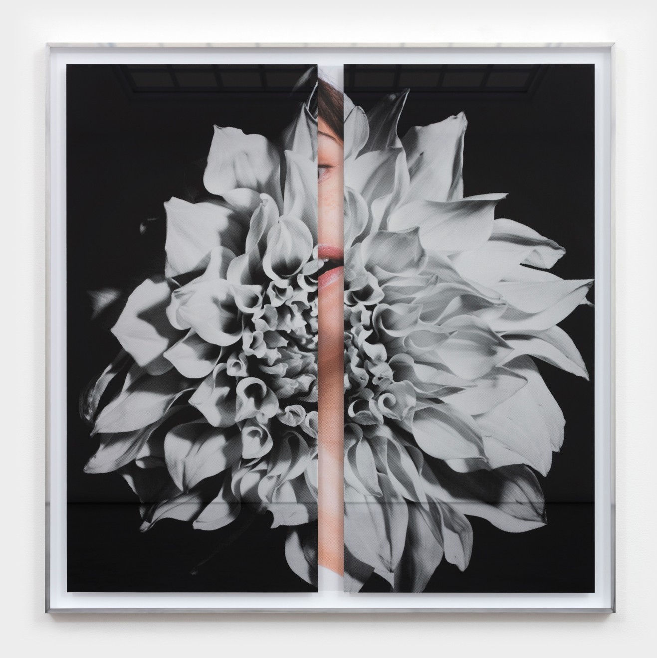 Kathryn Andrews, Hollywood Dahlia, 2019