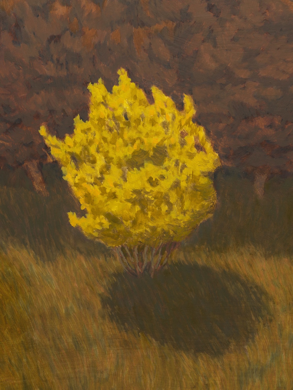 Jared Buckhiester, Officially, it was night., 2025