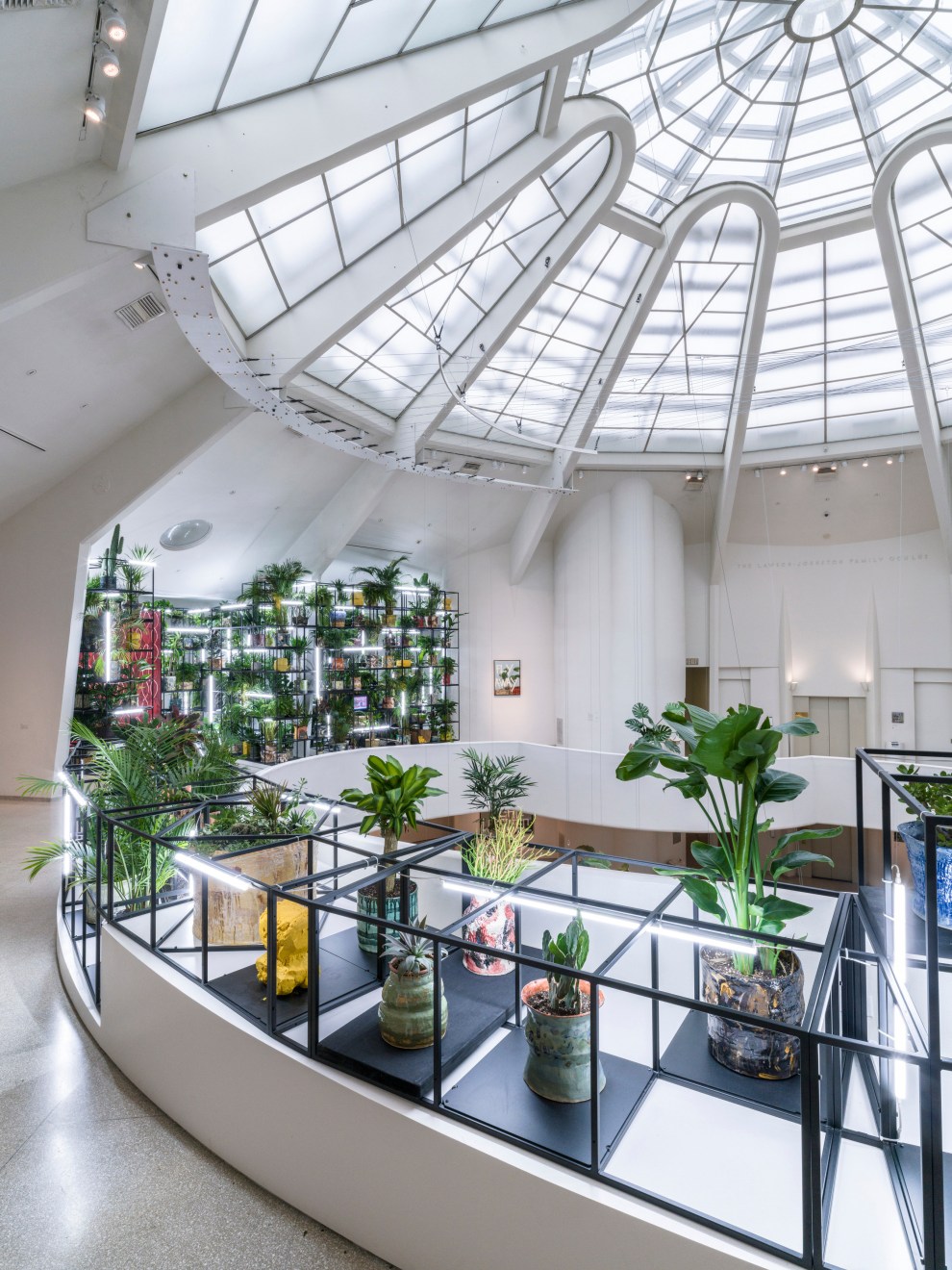 Rashid Johnson