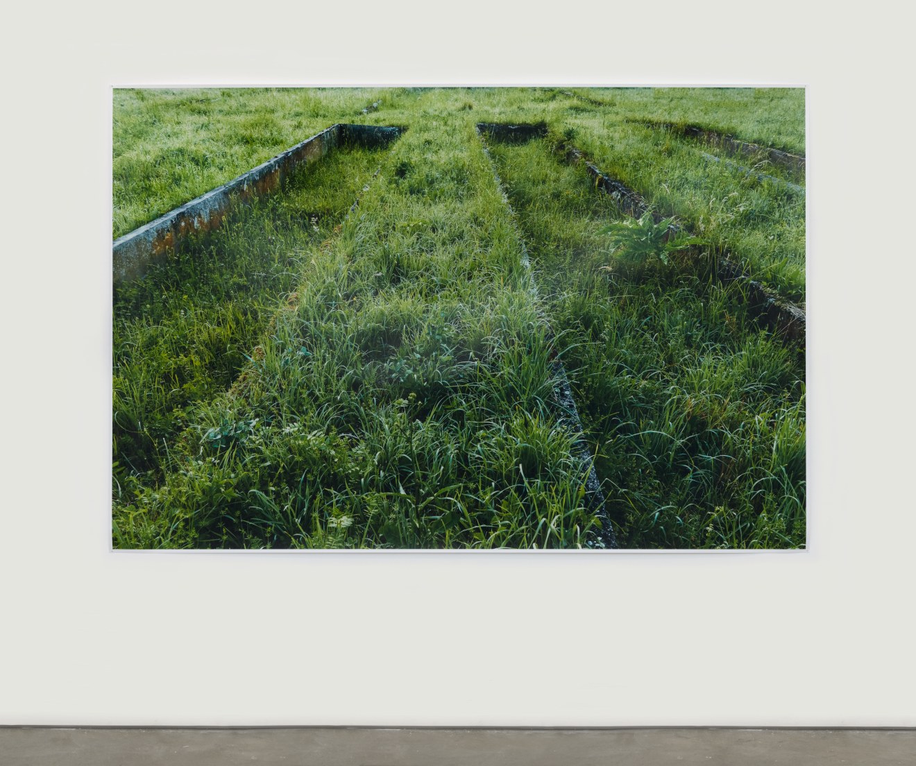 Andrea B&uuml;ttner, Former plant beds from the plantation and &quot;herb gardens,&quot; used by the Nazis for biodynamic agricultural research, at the Dachau Concentration Camp, 2019 - 2020