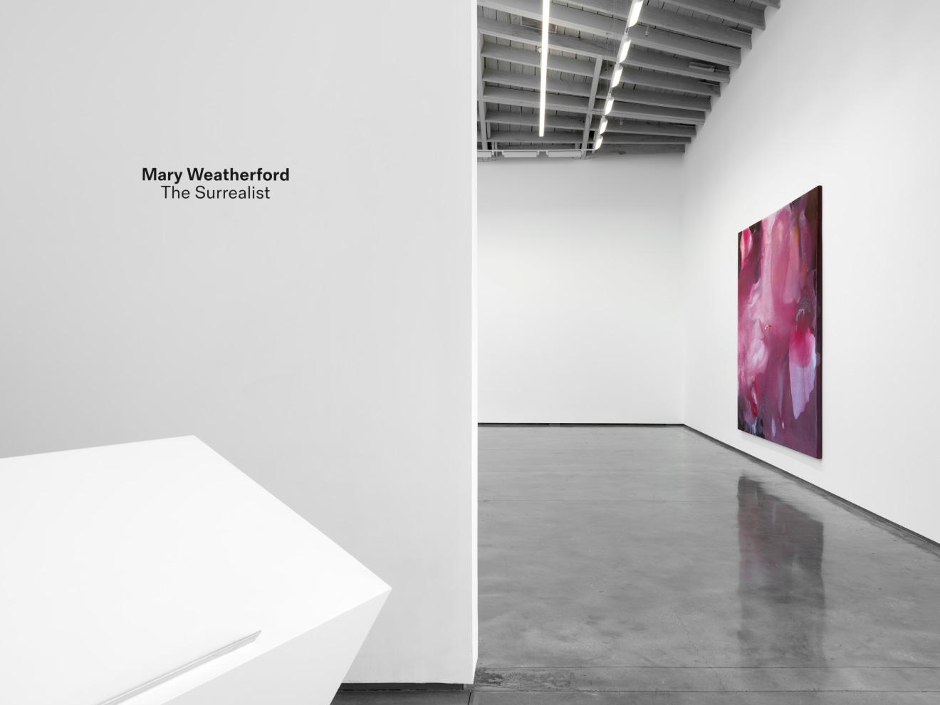 Mary Weatherford