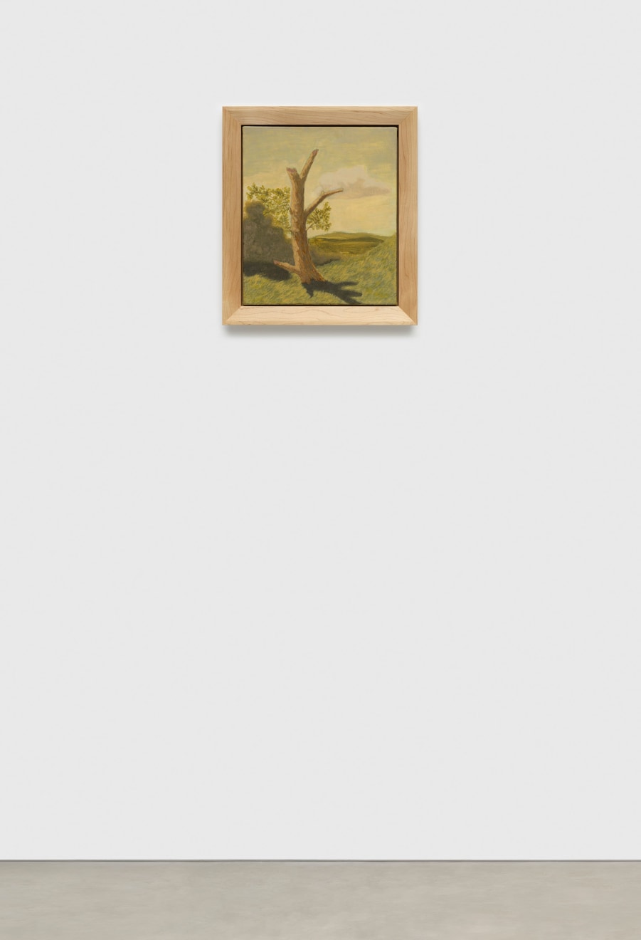 Jared Buckhiester, Continent Of Misbelief, 2025