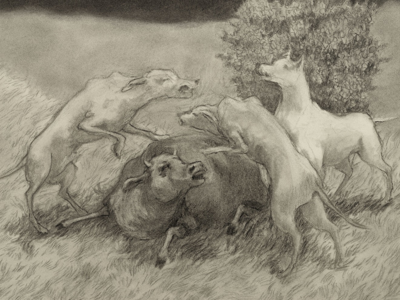 Jared Buckhiester, Untitled, 2025