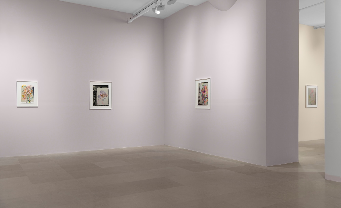 Rachel Harrison, Installation view, Drawings, Greene Naftali, New York, 2020