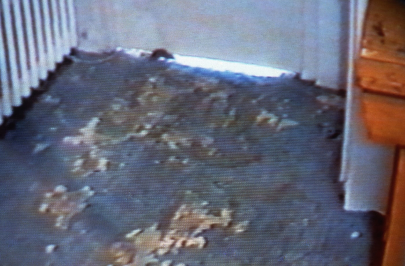 Lucy Gunning Mouse Running Round Kitchen, 1993 (still) VHS video 45:00 min